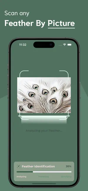 Feather Identifier - FI screenshot 2