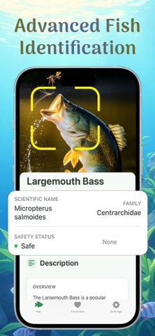 Fish Identifier: Scan & Verify Screenshot 2 of 8