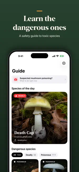Mushroom Identifier: MushSnap screenshot 4