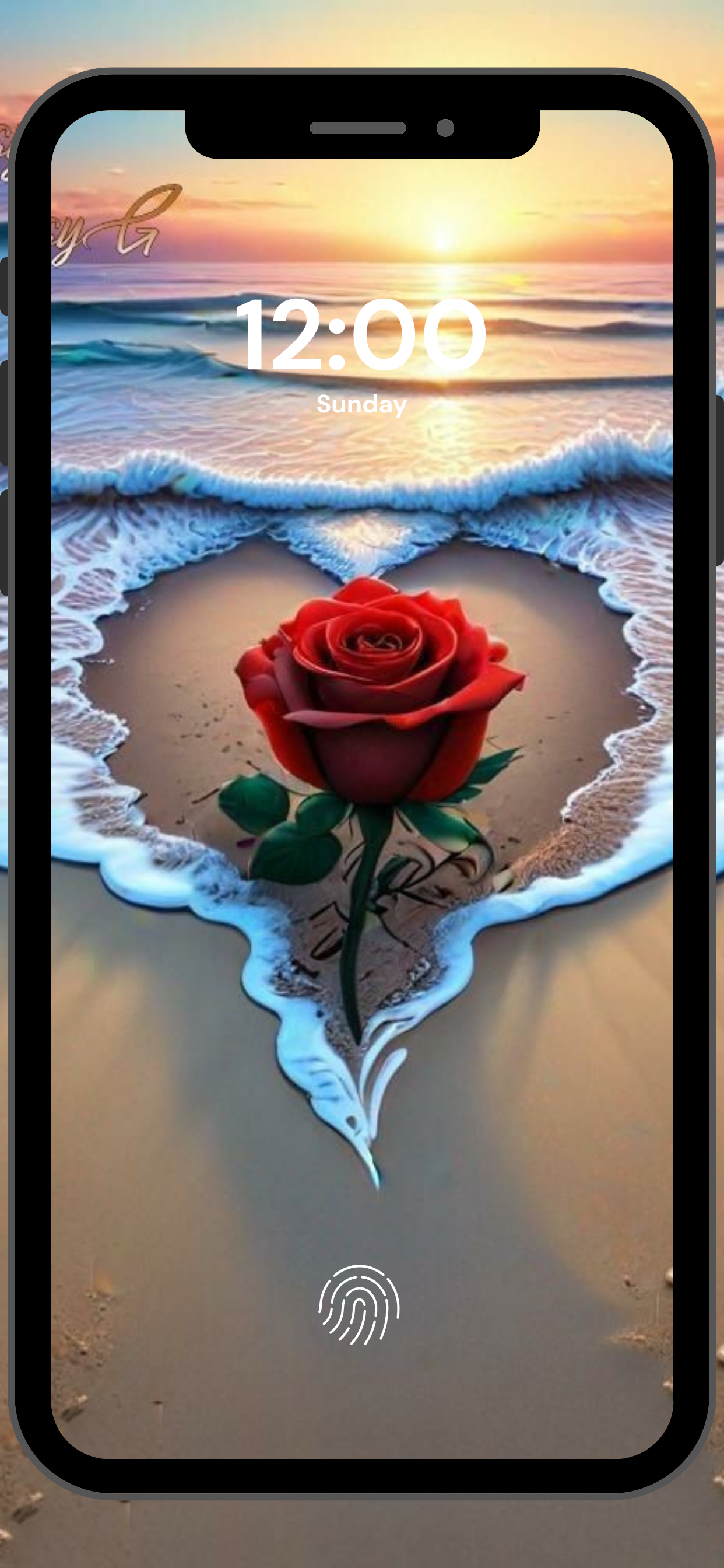 Rose Flower Wallpapers: Floral