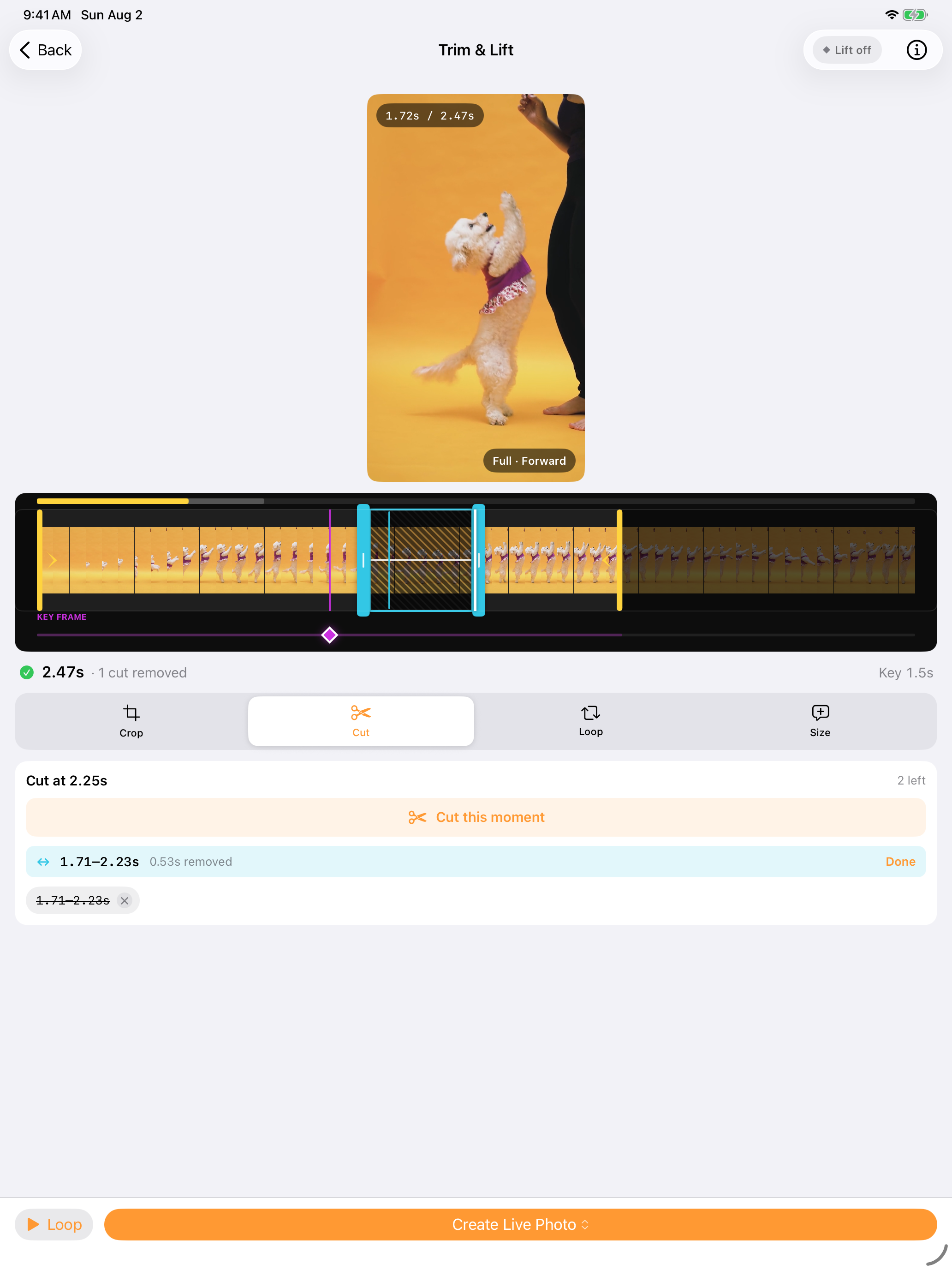 Peel – Video to Sticker Maker screenshot 16