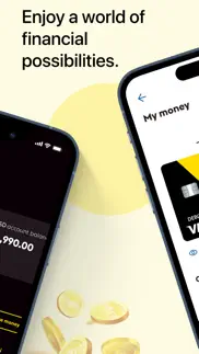 vigo money iphone images 2