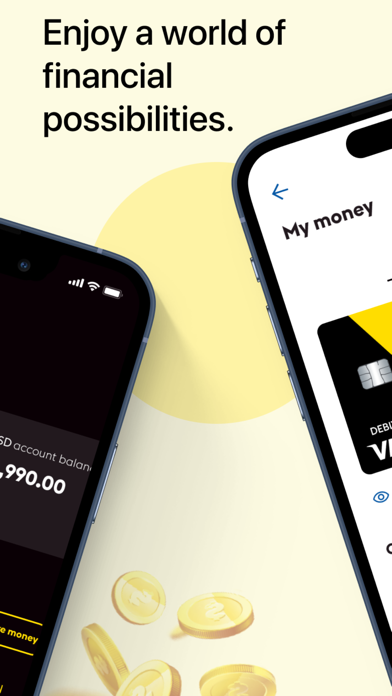 Vigo Money Screenshot