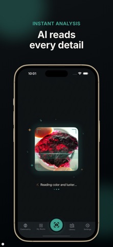 Rock ID: Gem & Crystal Scanner Screenshot 2 of 6