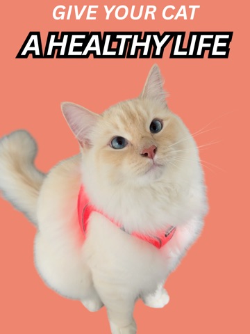 Cat Food Scanner - Leo iPad screenshot