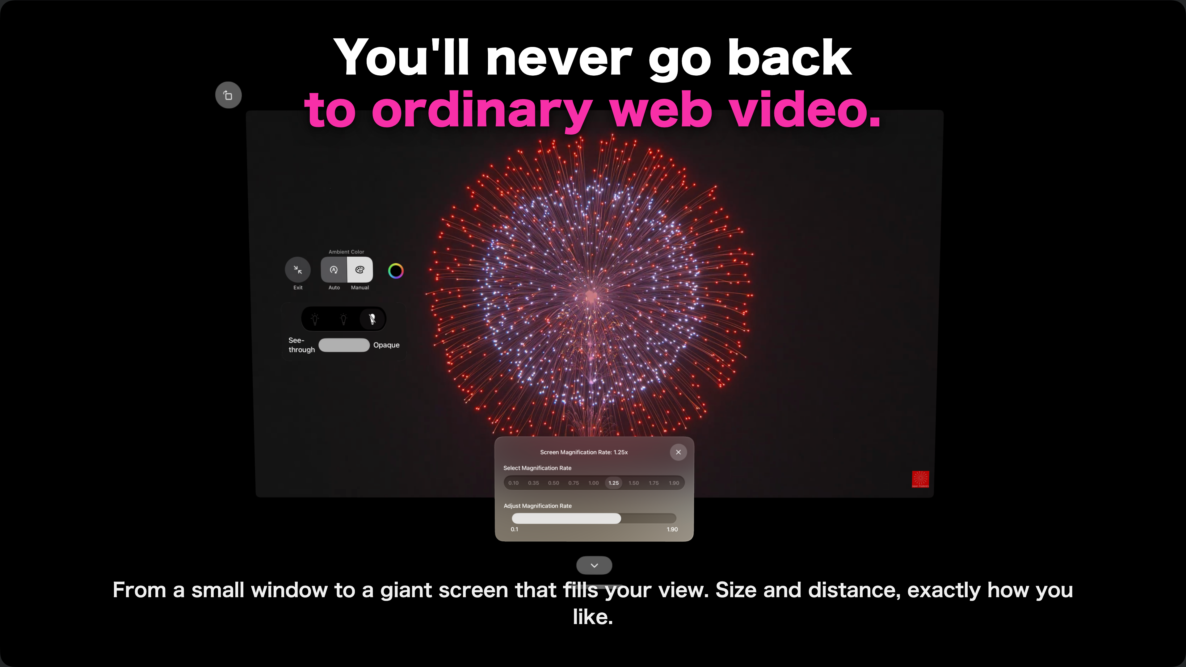 VisionPlay: Web Video Player screenshot 3