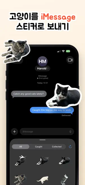 Cat Collector: 진짜 고양이 iPhone screenshot 5