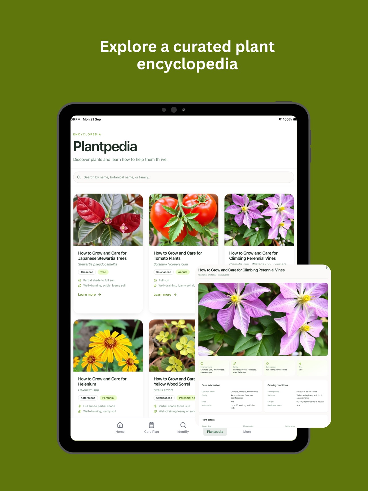 Screenshot 9 of Planthygge