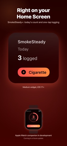 SmokeSteady: Nicotine Tracker Screenshot 7 of 7