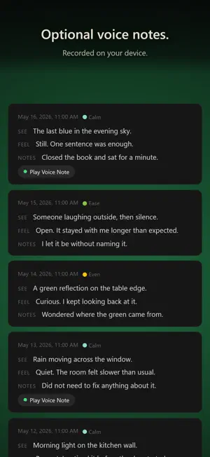 inner sight · Visual Journal screenshot 4
