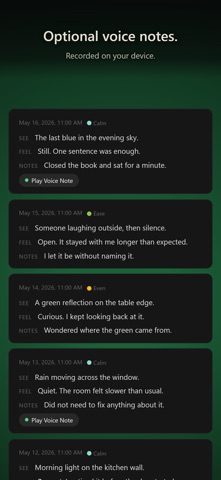 inner sight · Visual Journal Screenshot 4 of 6