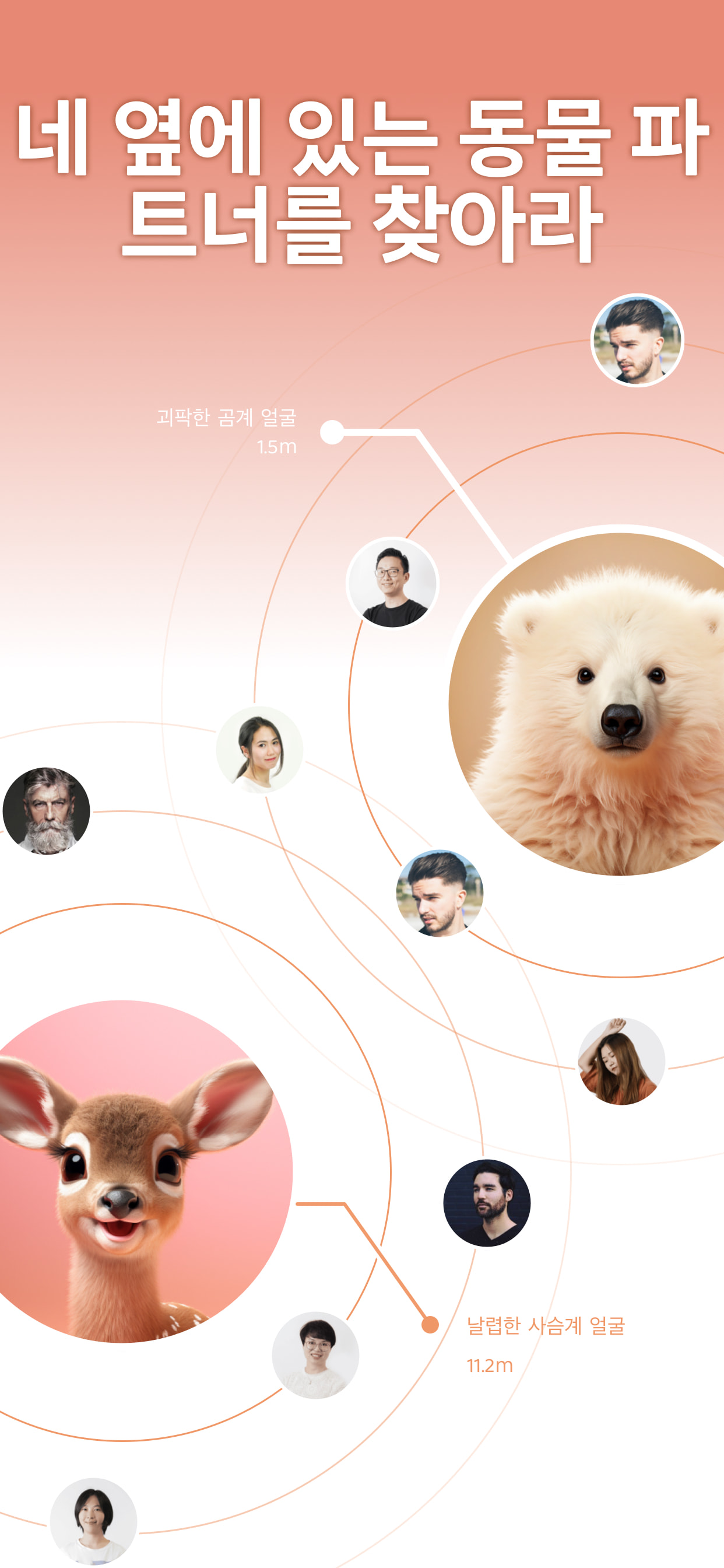 AnimalFace-looksmax ai score
