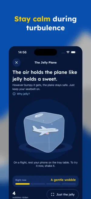 Calm Skies: Fear of Flying screenshot 3