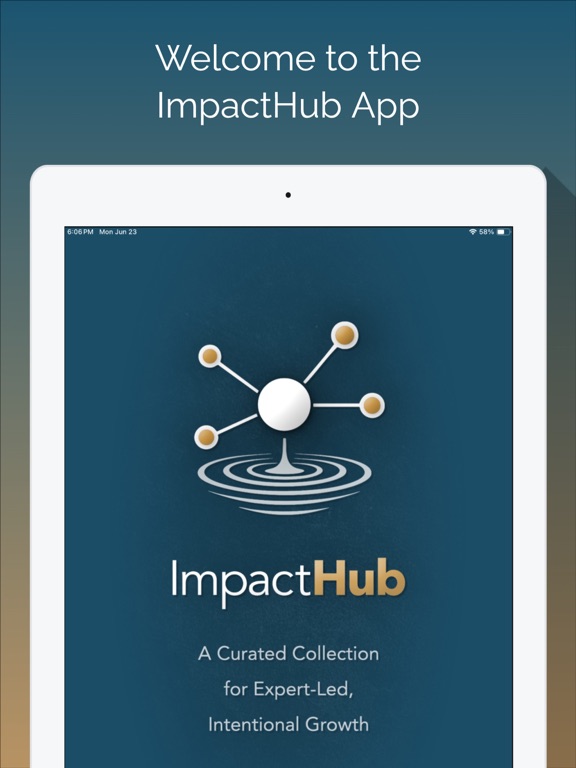 ImpactHub