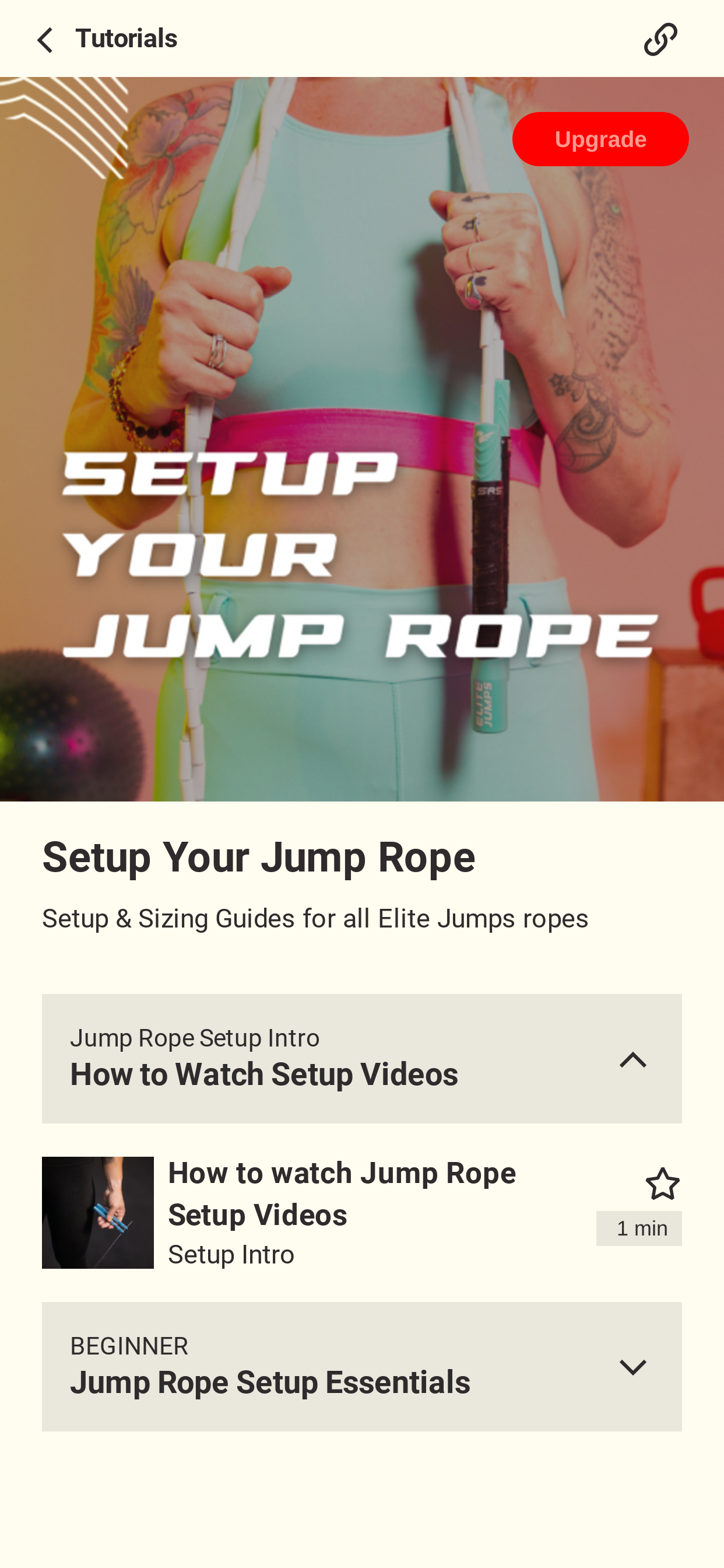 Elite Jumps