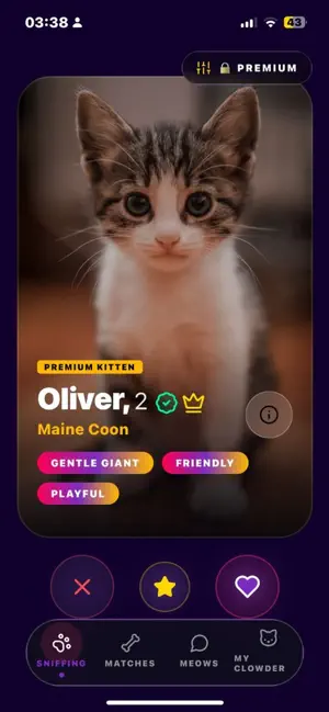 Cat Breeder - Kitten Match screenshot 3