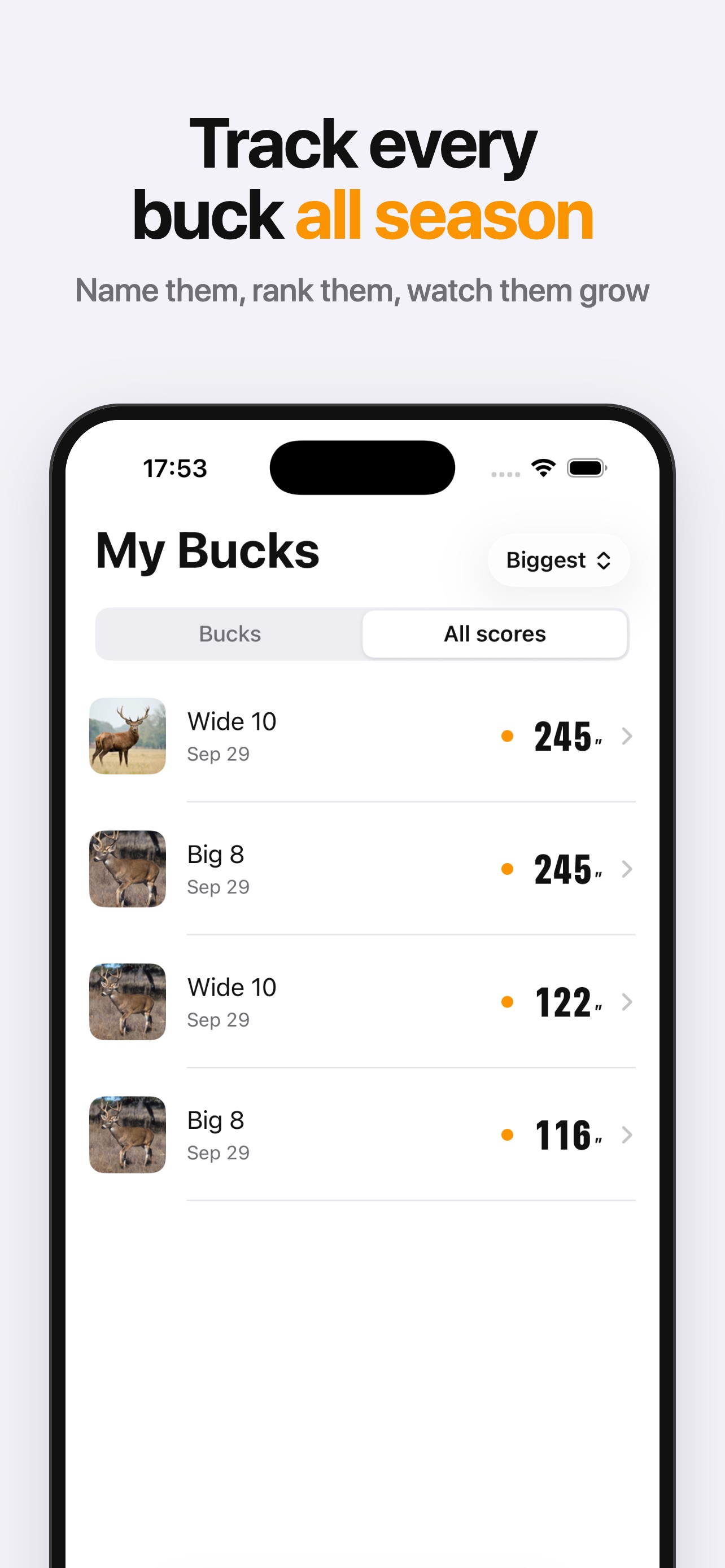 Screenshot 4 of AI Deer Scoring: Buck & Antler