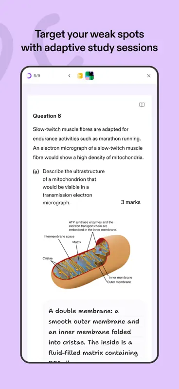Medly screenshot 5 of 9