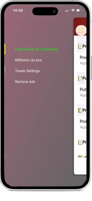 Catechisme de Catholique screenshot 3