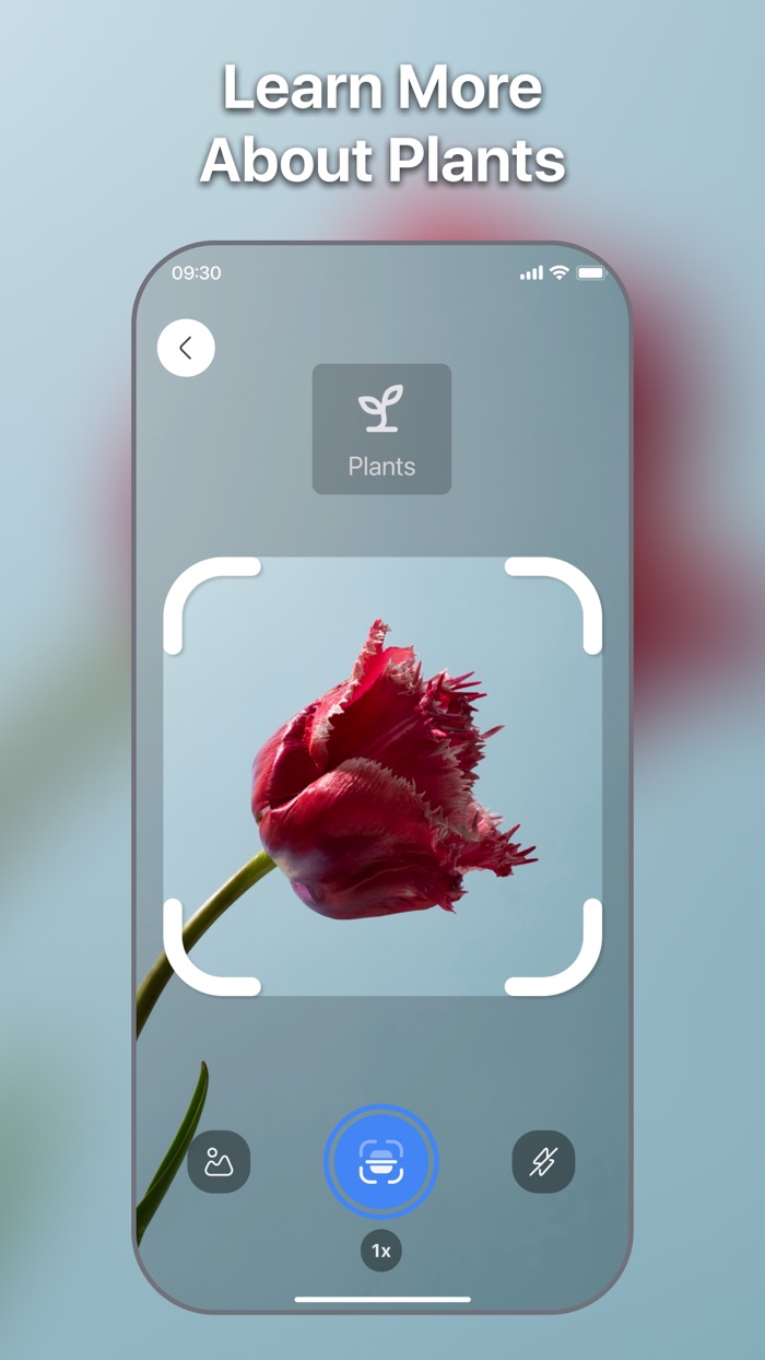 Lens Scan Identify Anything