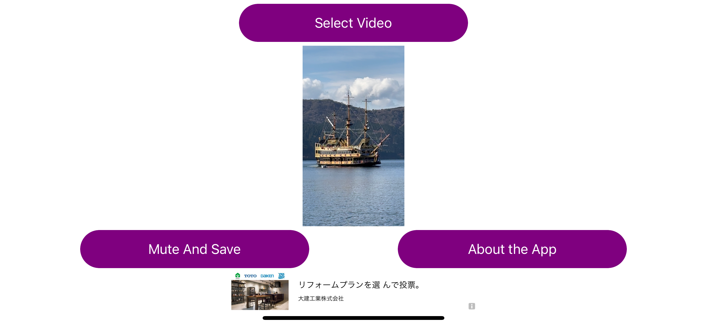 Useful Video Mute