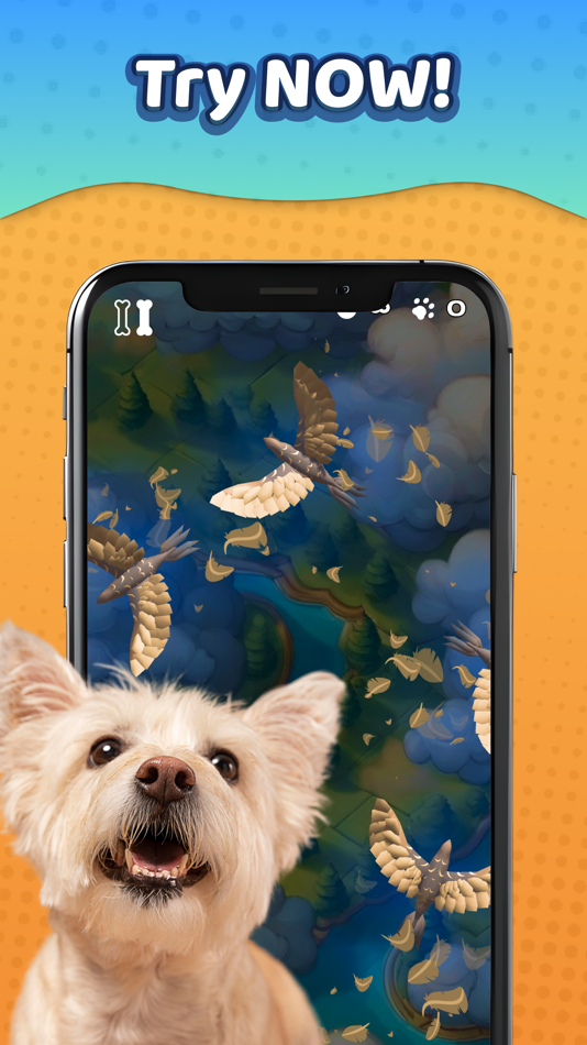 #3. Laser Pointer - Games for Dogs (iOS) 由: Webmate Digital