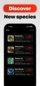 Insect Identification: BuggyID screenshot