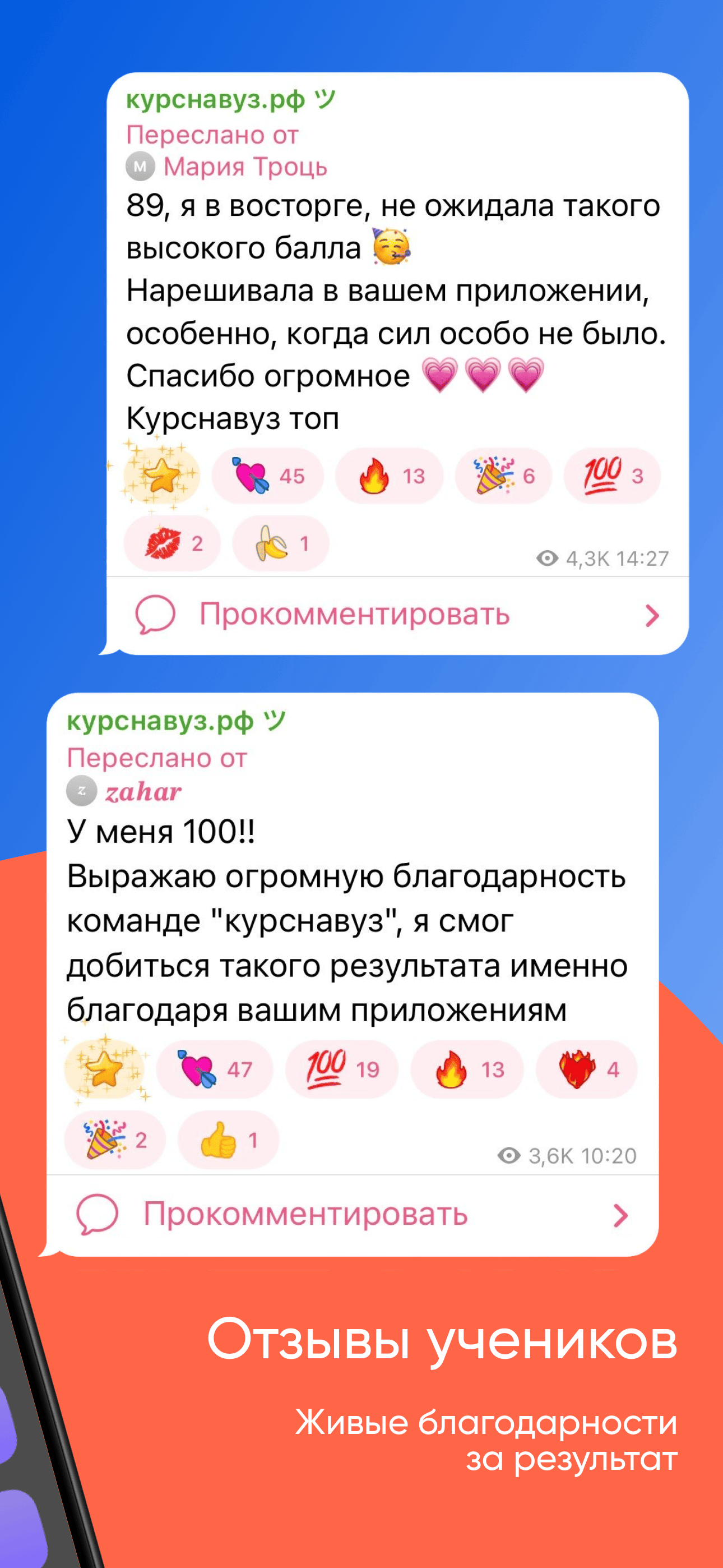 ЕГЭ Литература screenshot 3