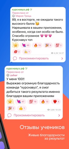 ЕГЭ Литература iPhone screenshot