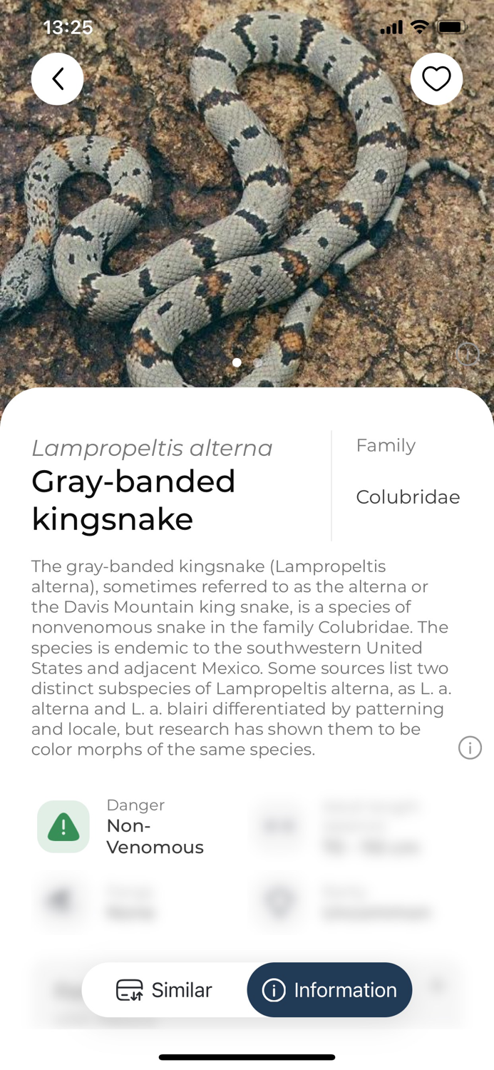 Snake name - identify snakes