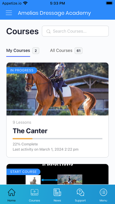 Amelia's Dressage Academy Screenshot