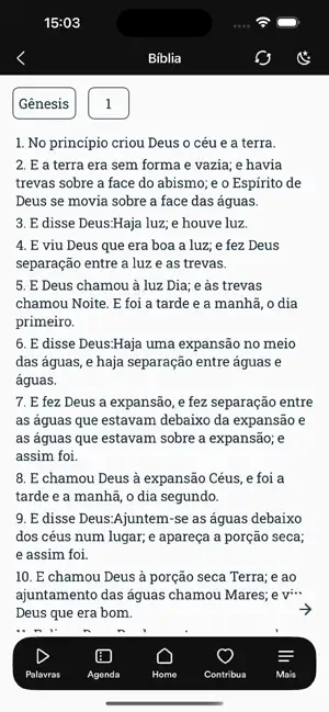 Tudo Novo screenshot 4