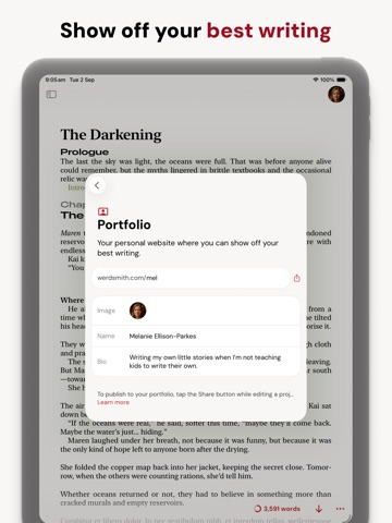 yWriter: Software for Writers Screenshot 8
