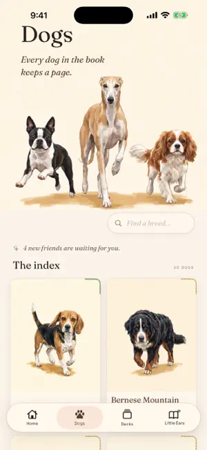 Snoot Folio screenshot 2