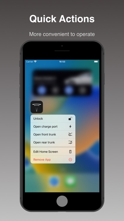 B-KEY for Tesla Watch key screenshot-5