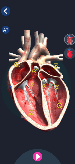 Anatomy & Physiology AR Screenshot 1 of 8