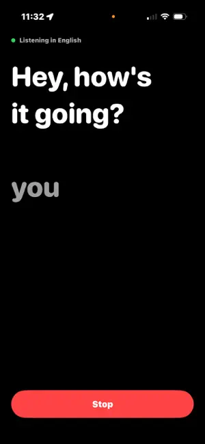 LiveCaptions - See What's Said screenshot 2
