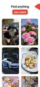 Lens Photo Scan・Identifier All screenshot #1 for iPhone