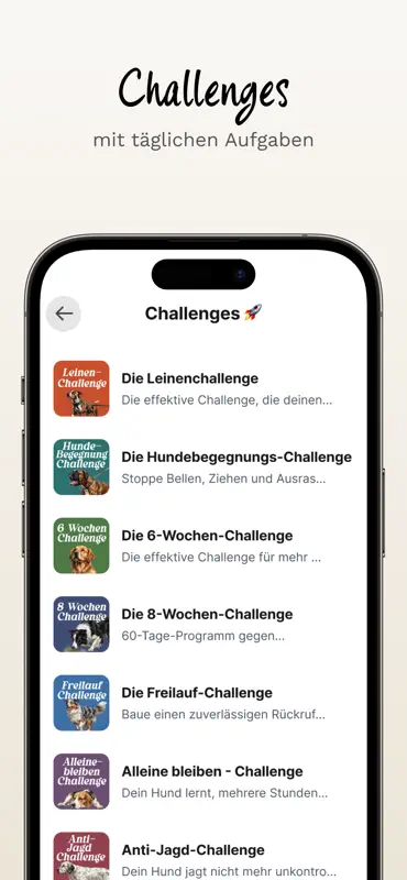 hundetraining.de screenshot 1 of 4