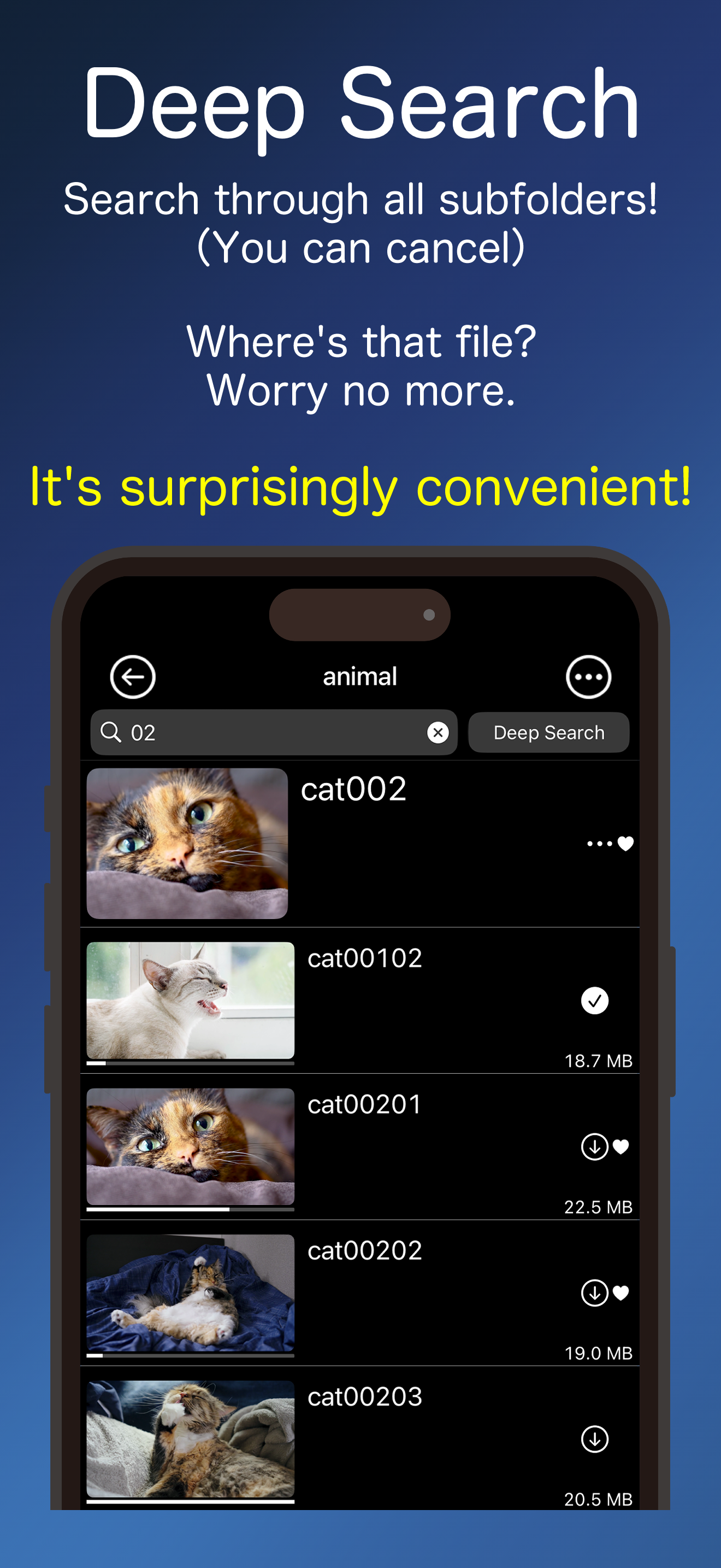 ikPlayer - Media Player