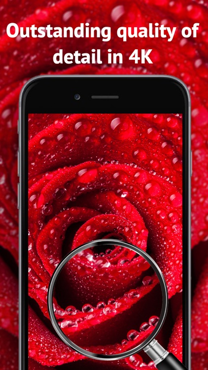 4K Wallpapers: Live Themes