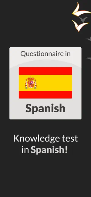 Spanish Level Test & Learn screenshot 4