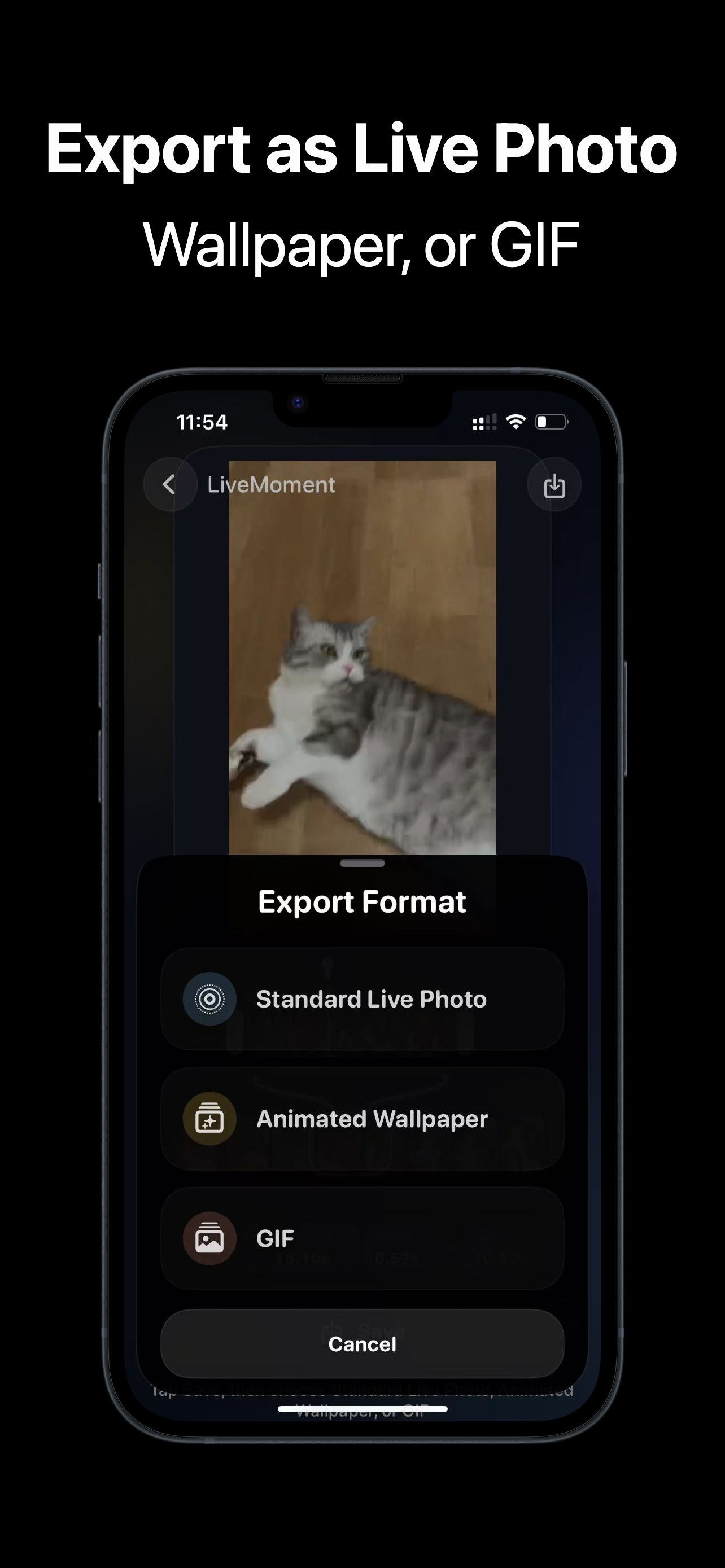 LiveMoment：Video to Live