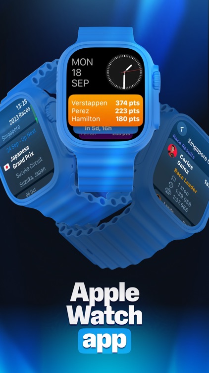 Race Widgets for F1 screenshot-6