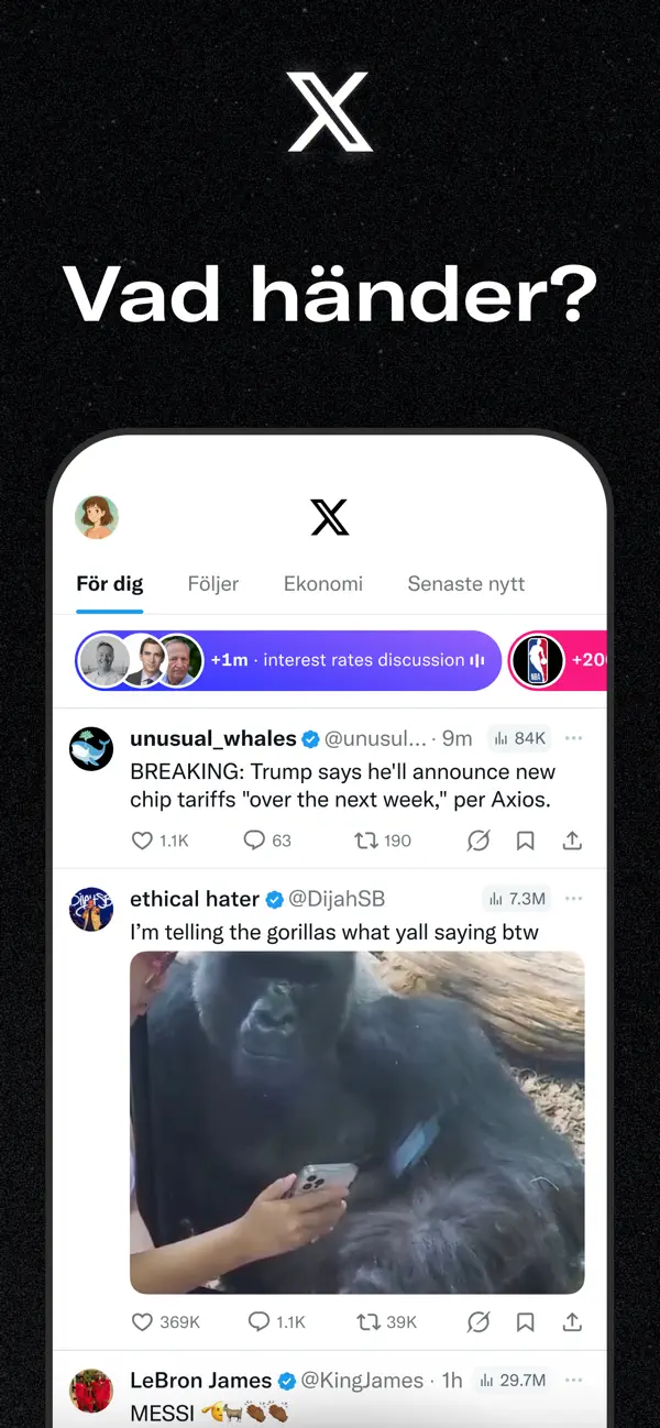 Twitter Labs screenshot 1 - iOS app interface