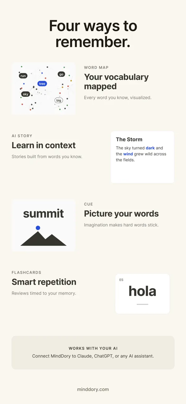 Screenshot #2 pour MindDory: Vocabulary Builder