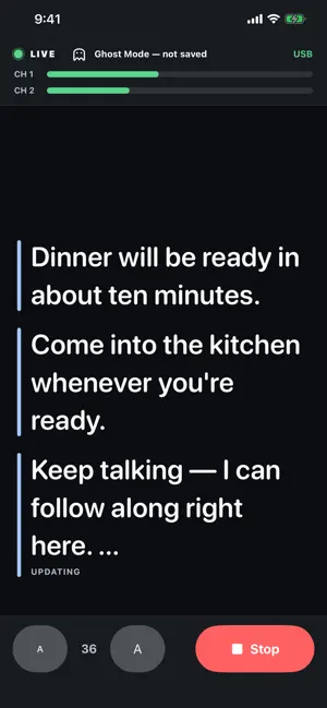 Voices in View screenshot 3