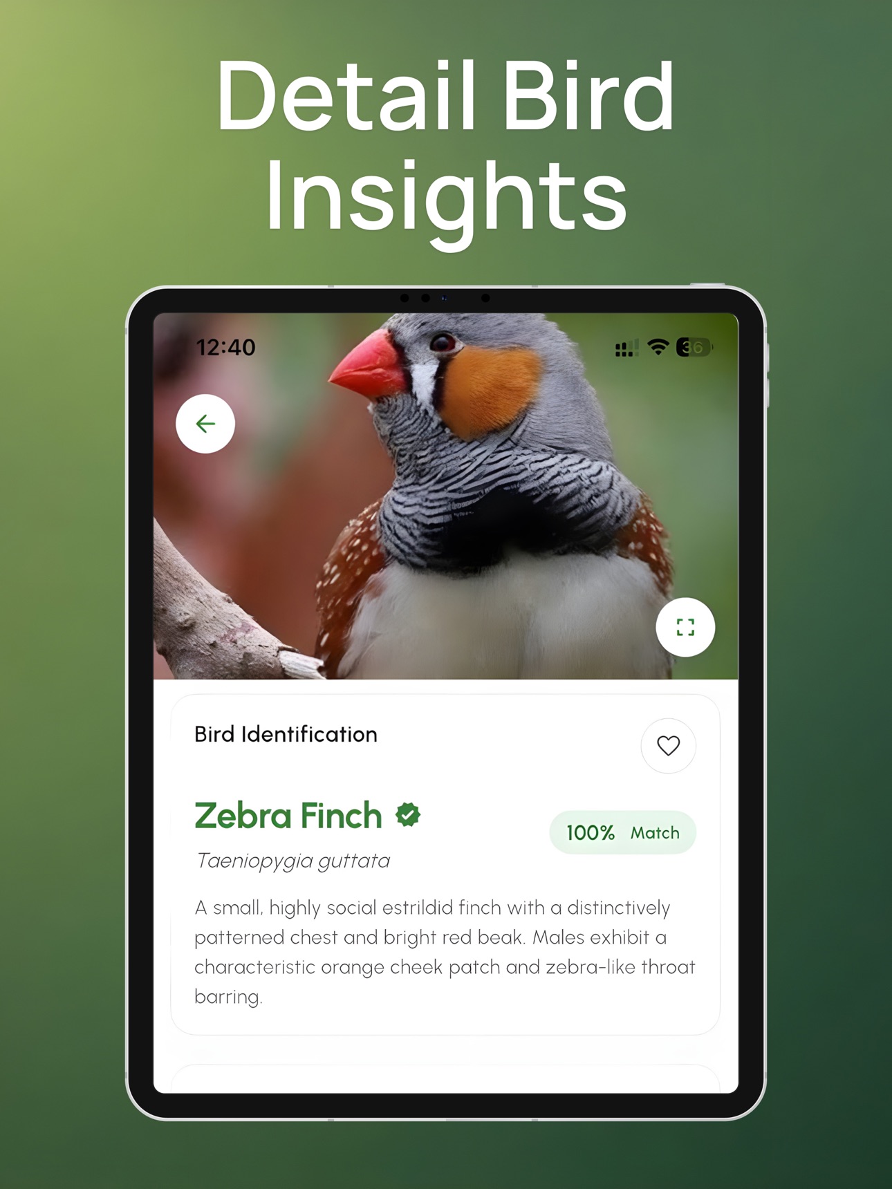 Screenshot 12 of Bird Identifier; Bird Sound ID