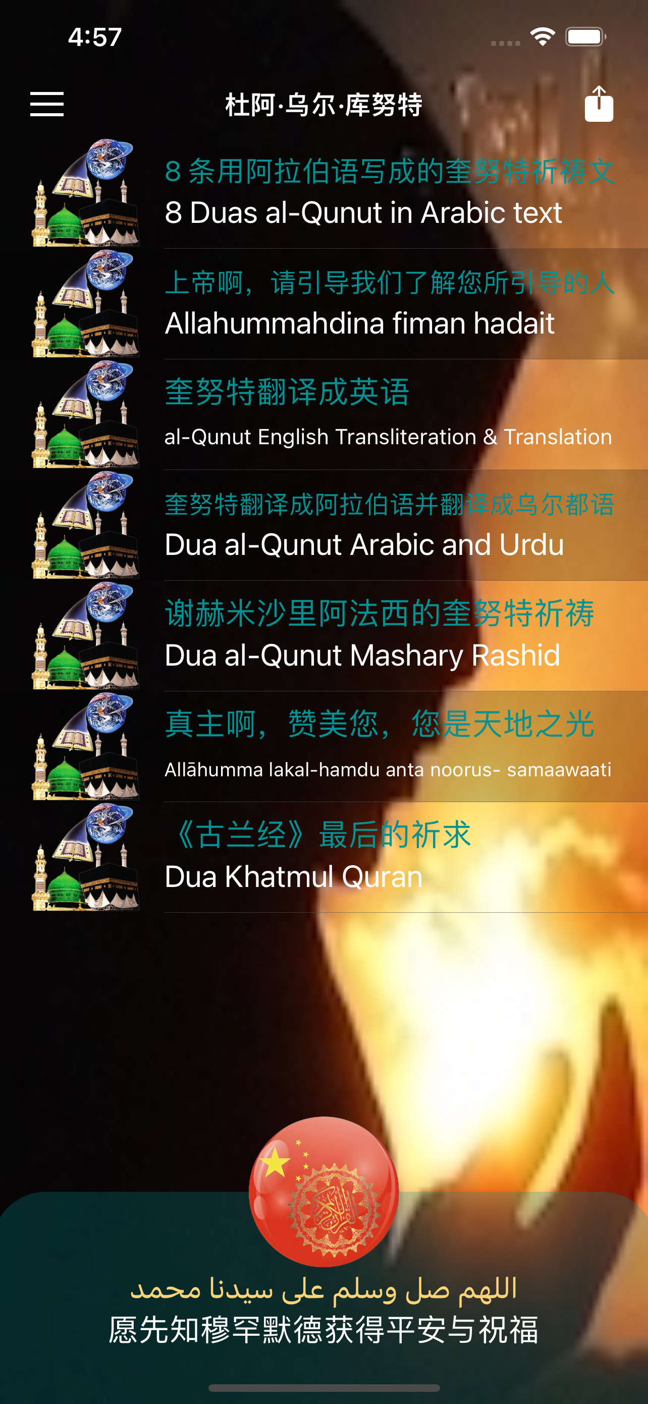 Chinese Quran Audio Book +