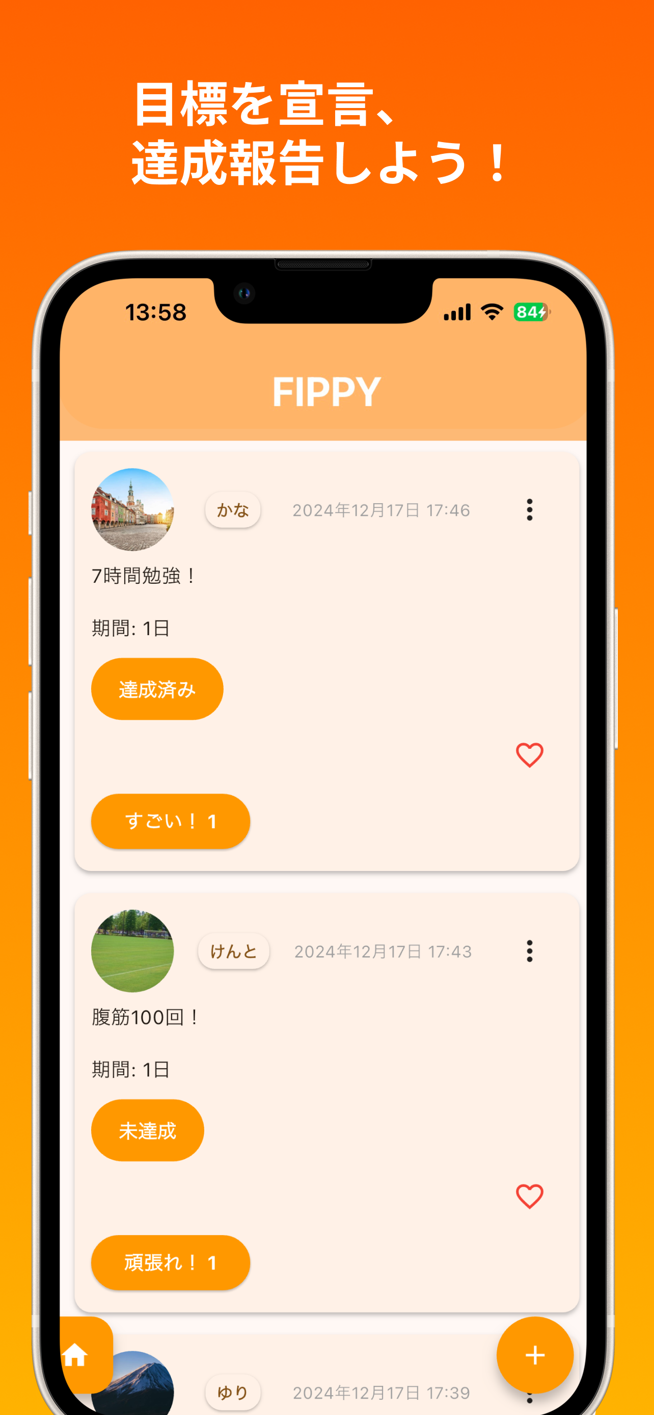 FIPPY screenshot 5